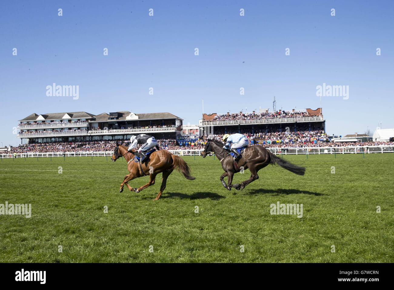 Horse Racing - 2015 Coral Scottish Grand National Festival - Day Two - Ayr Racecourse Stock Photo