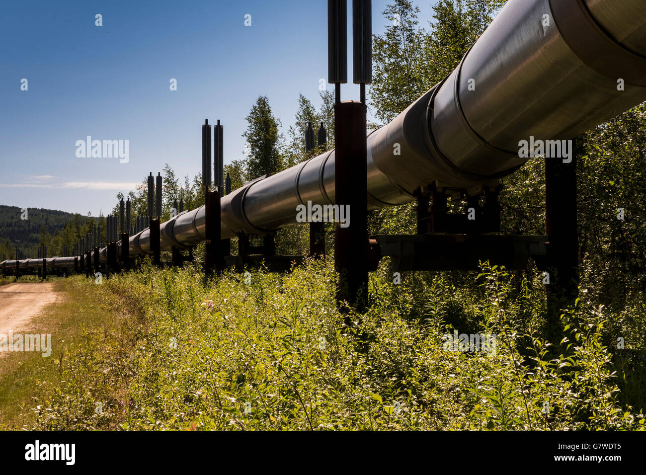 Trans-Alaska Oil Pipeline Stock Photo