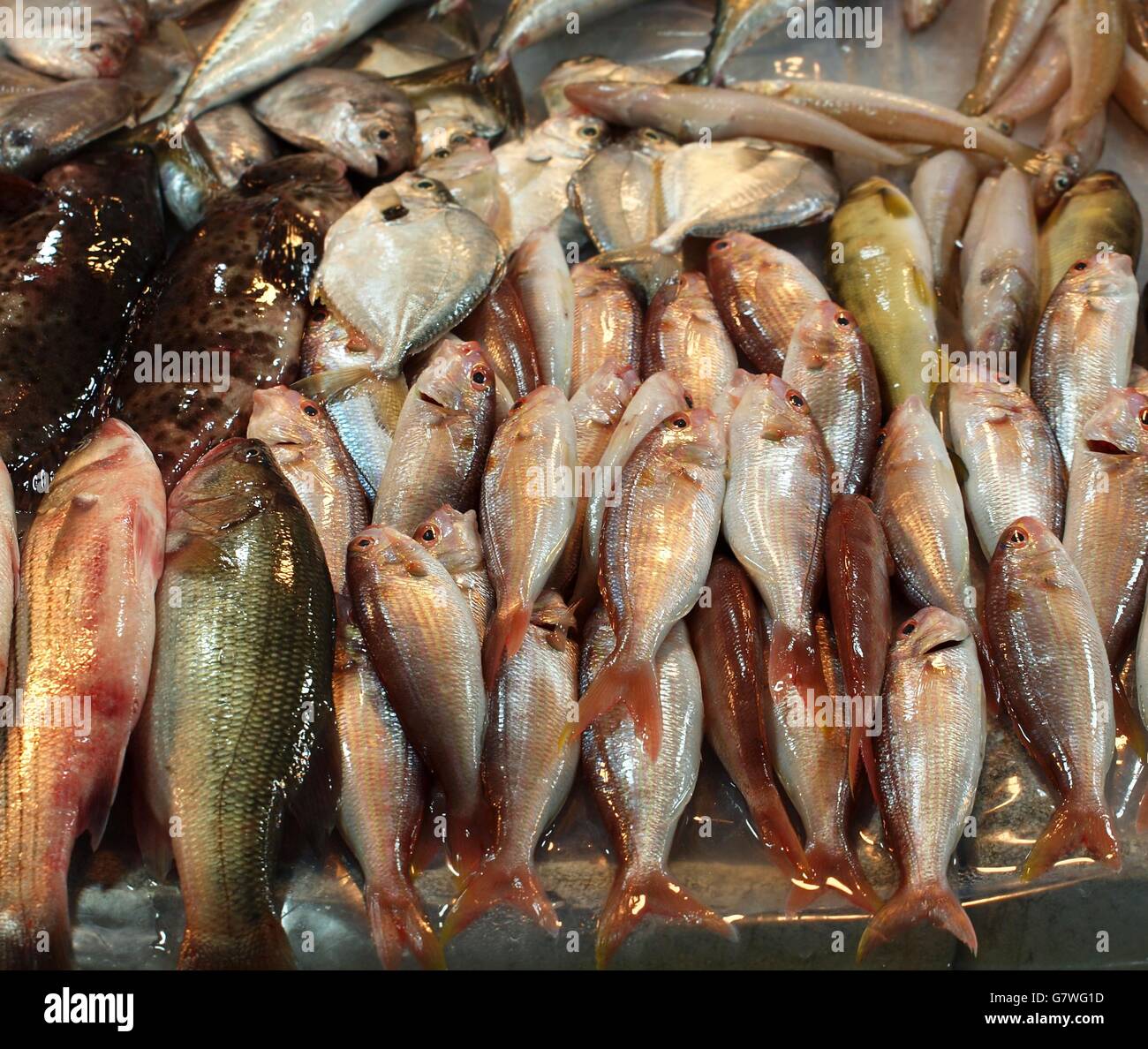 Assorted fresh fish is being offered at an outdoor market Stock Photo ...