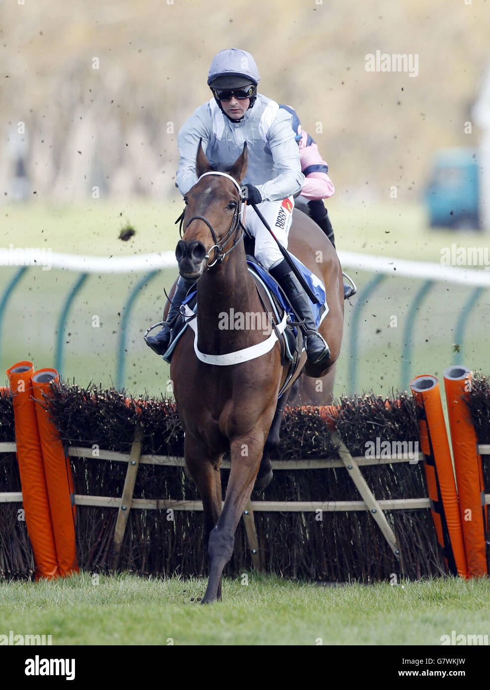 Different Gravey ridden by jockey Nico de Boinville wins the West Sound Novices' Hurdle Race during the 2015 Coral Scottish Grand National Festival at Ayr Racecourse. Stock Photo