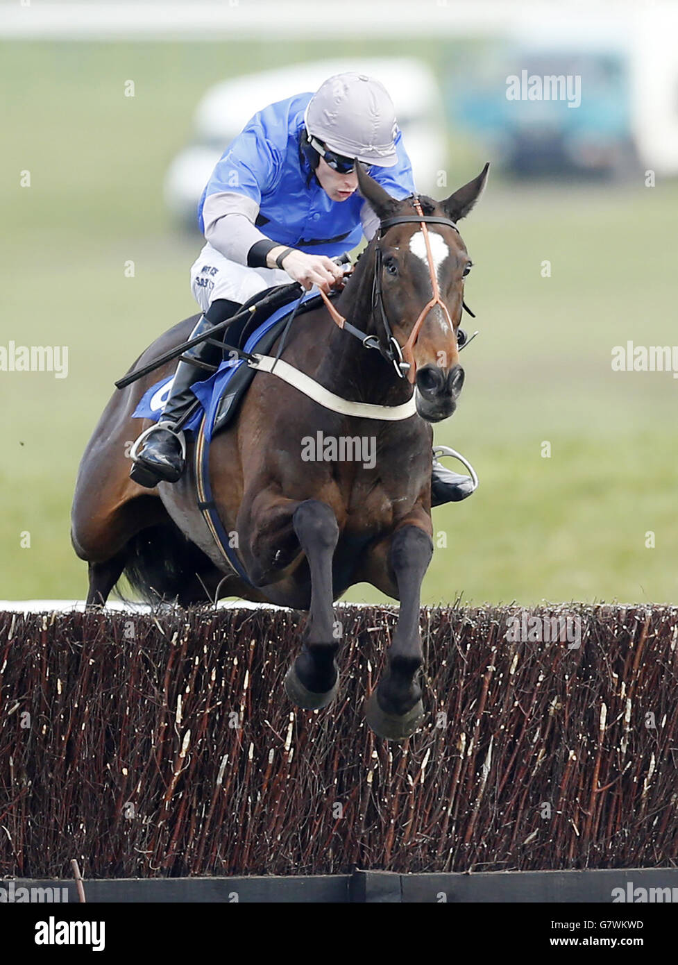 Aye Well ridden by jockey James Reveley winner of The Porcelanosa Scotland Novices' Limited Hanicap Steeple Chase during the 2015 Coral Scottish Grand National Festival at Ayr Racecourse. Stock Photo