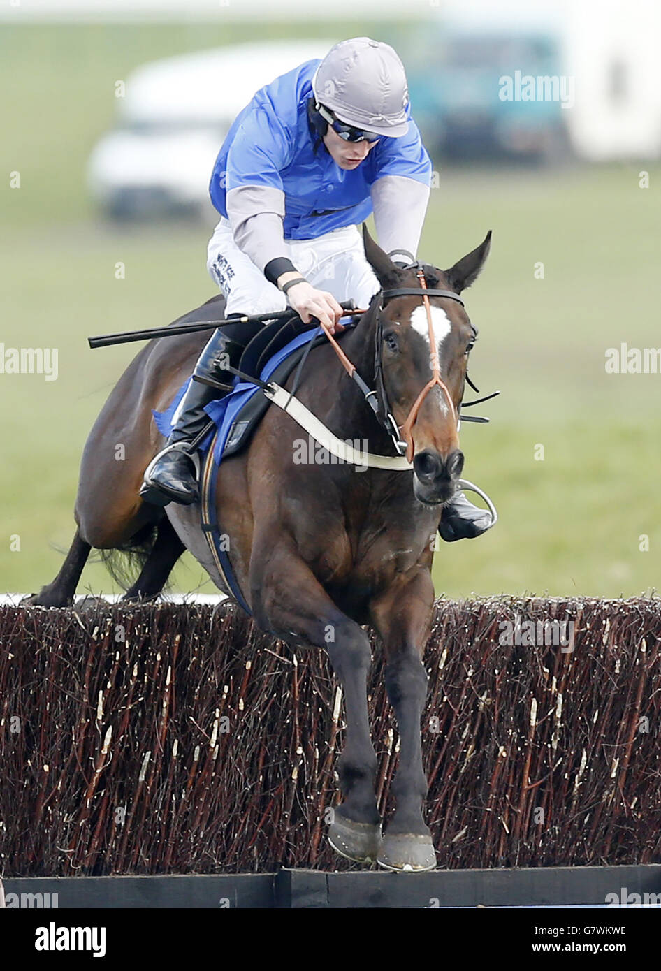 Aye Well ridden by jockey James Reveley winner of The Porcelanosa Scotland Novices' Limited Hanicap Steeple Chase during the 2015 Coral Scottish Grand National Festival at Ayr Racecourse. Stock Photo