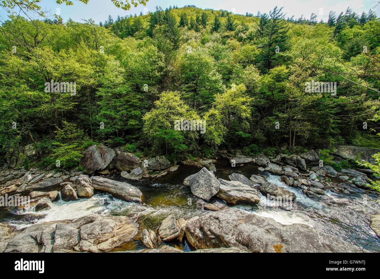 Linville River In Spring Stock Photo Alamy