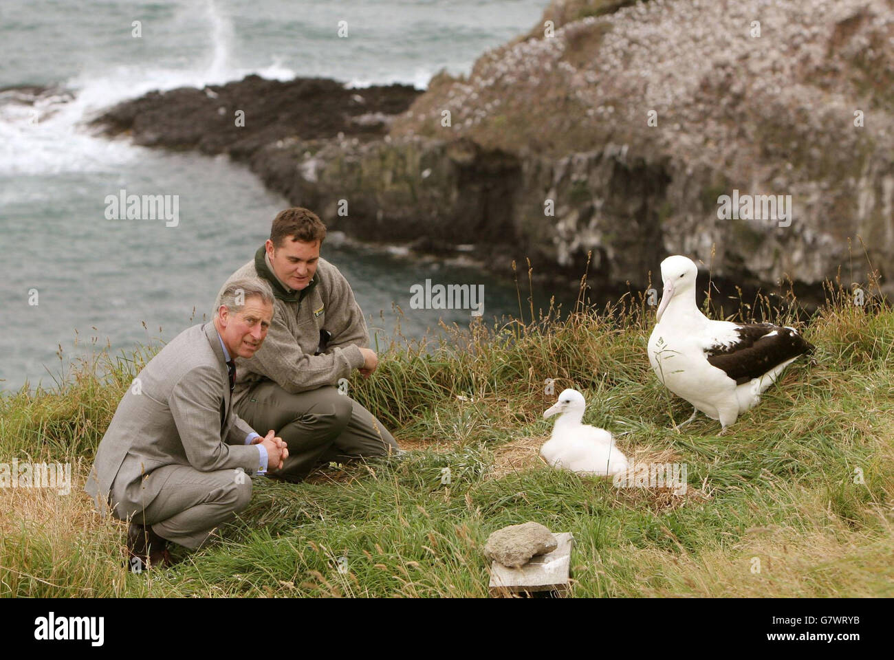 Prince Charles New Zealand Visit Royal Albatross Centre Stock Photo