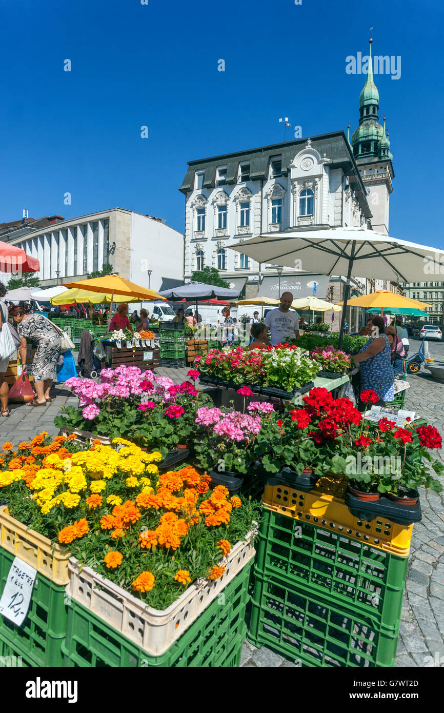 Zelny trh Brno square, Cabbage Market square is a traditional marketplace with fruits, vegetables, and flowers. Brno Czech Republic Stock Photo