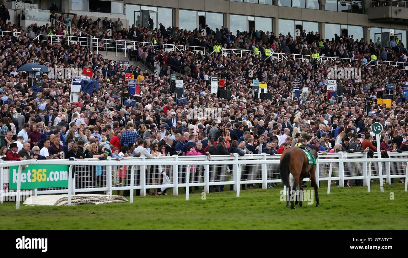 Full grandstands during the bet365 Jump Finale at Sandown Racecourse, Surrey. Stock Photo
