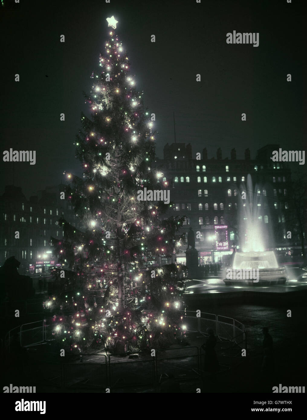 Customs and Traditions Christmas Tree Trafalgar Square, London Stock Photo Alamy