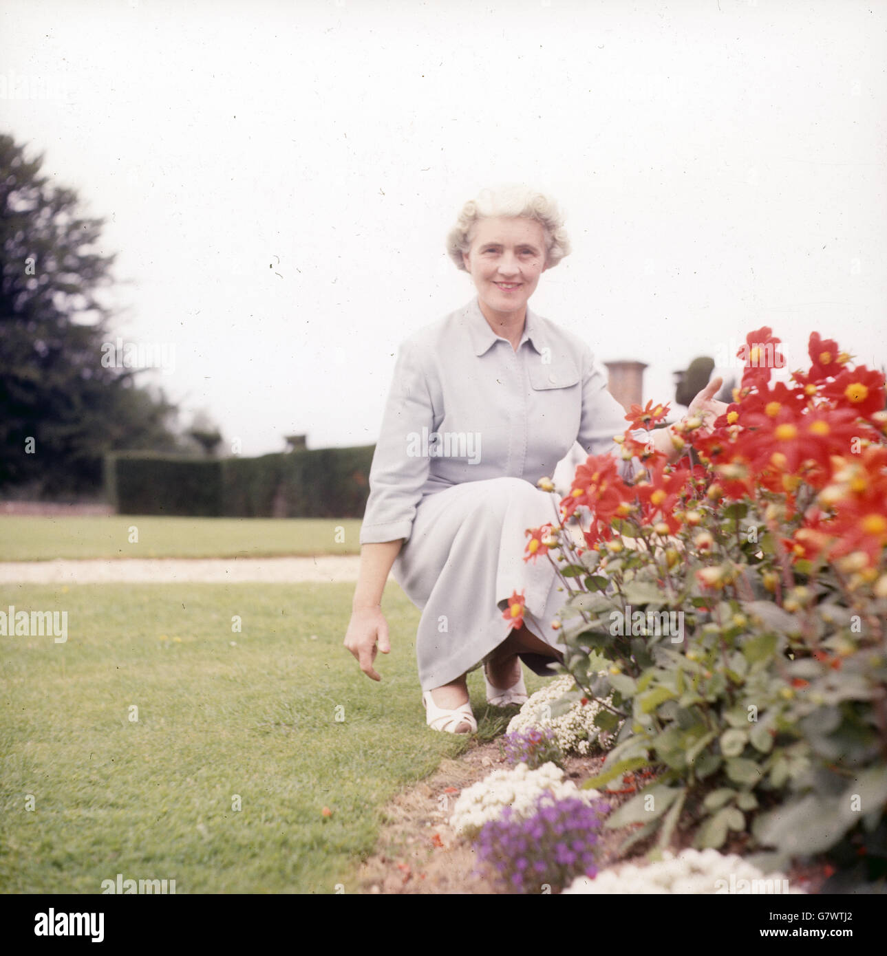 Mrs Beck, wife of Peter Beck, one of the joint-headmasters at Cheam School. Stock Photo