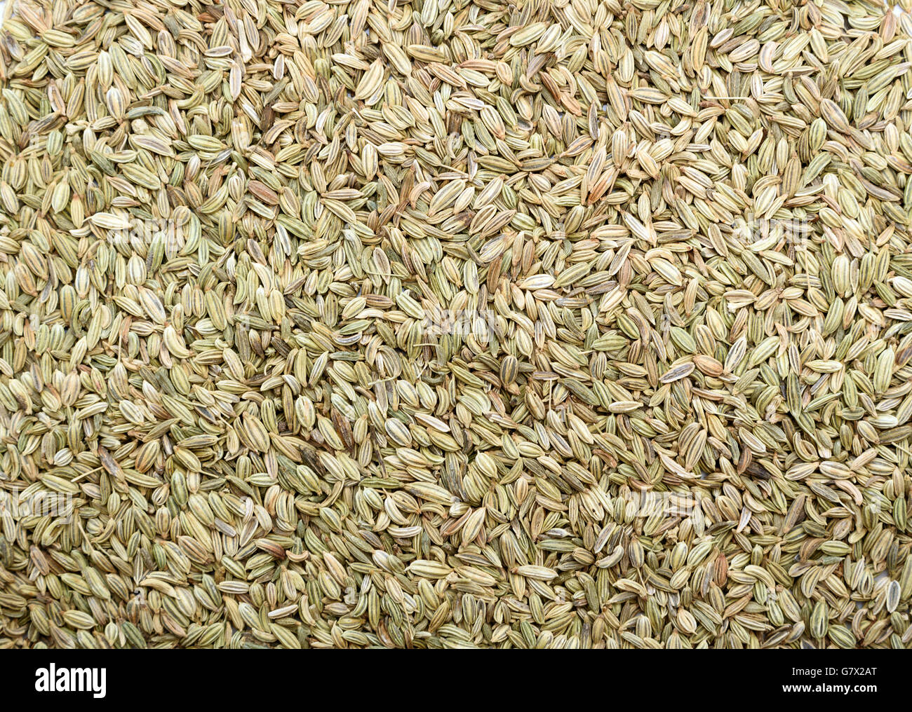Fennel seeds background Stock Photo - Alamy