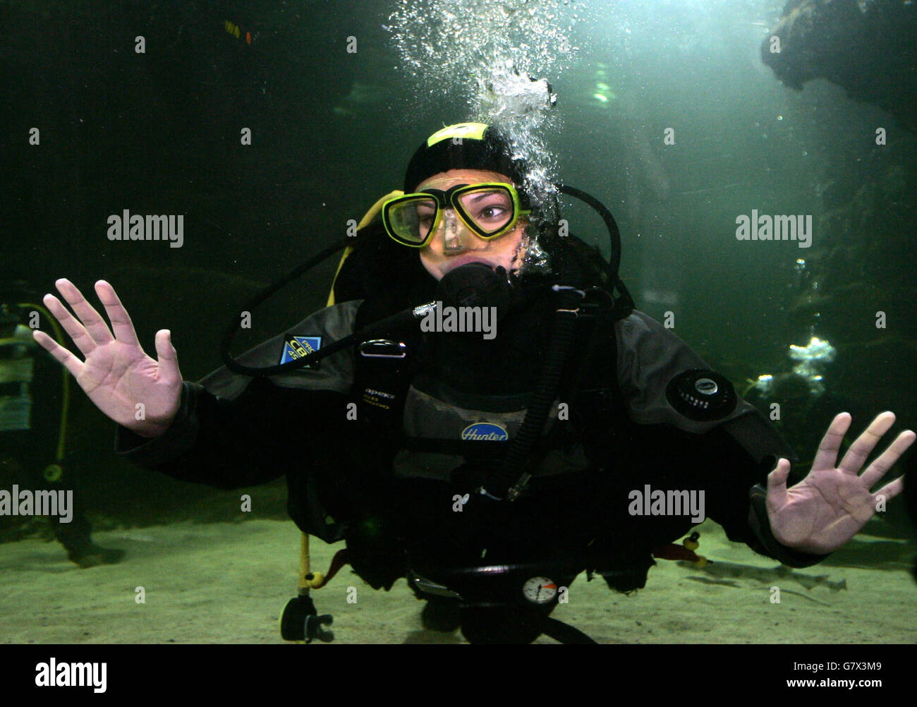 Former Miss UK Nicola Jolly at Deep Sea World, North Queensferry where she swam with sharks and stingrays for a Grampian television programme. Stock Photo