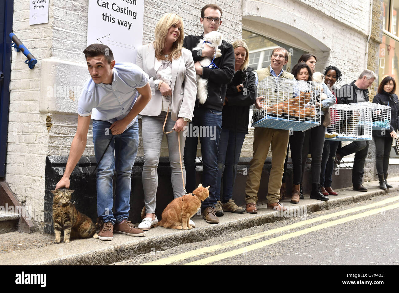 Britain's Happiest Cat Auditions - London. s Happiest Cat and the new face of O2 Refresh, the network's Pay Monthly tariff. Stock Photo