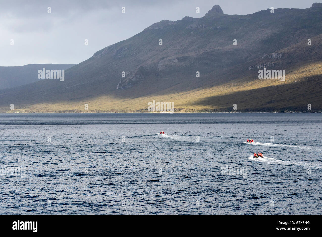 Zodiac operations in Perseverance Harbour at Campbell Island, New Zealand sub-Antarctic Stock Photo