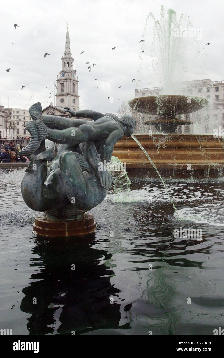 St Patrick's Parade - London. Trafalgar Sqaure, where the famous fountains have been dyed green for the St Patrick's day parade. Stock Photo