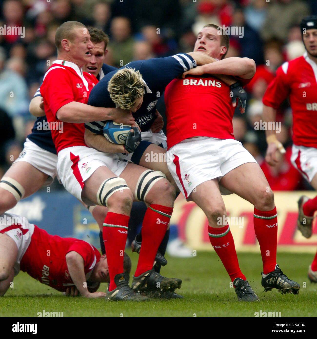 Brent Cockbain (Celtic Warriors) holds the ball as he is challeged during  the Celtic League match against Munster at Pontpridd Stock Photo - Alamy