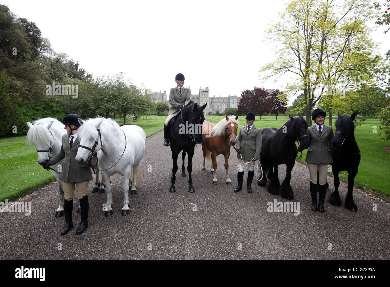 Royal Windsor Horse Show Stock Photo Alamy