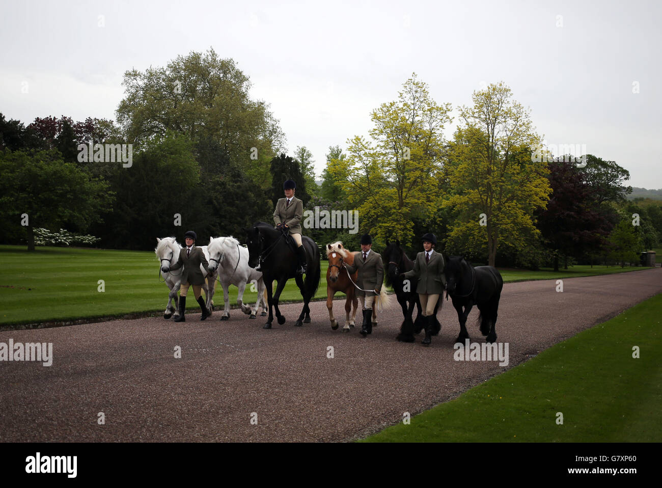 Royal Windsor Horse Show Stock Photo Alamy