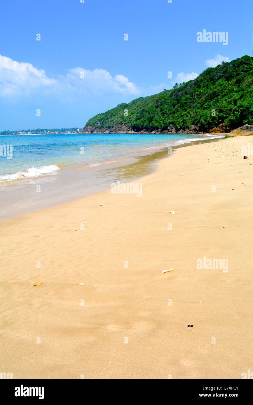 Jungle beach in Galle Sri lanka Stock Photo