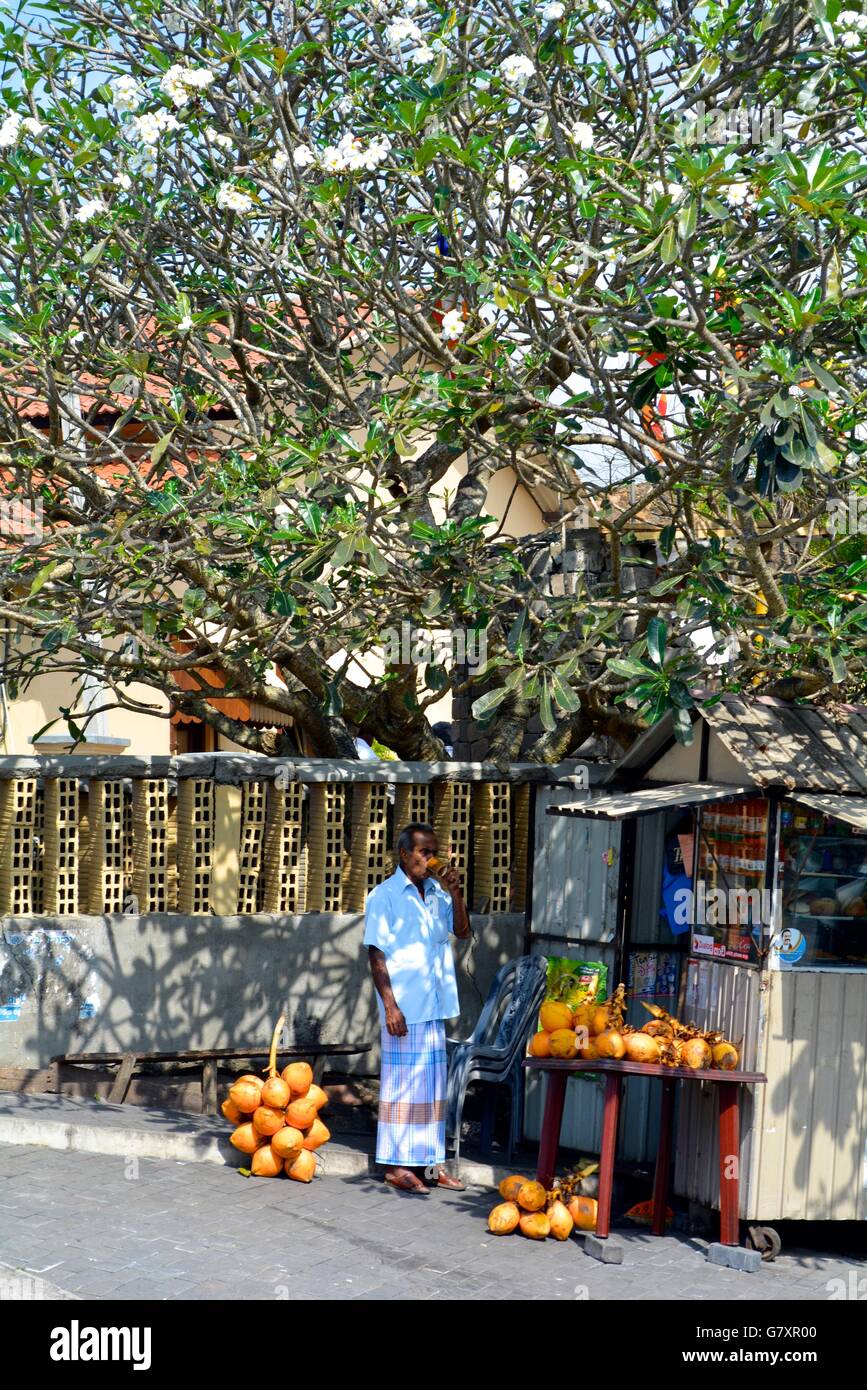 A man selling coconuts by the side of the road in Galle, Sri Lanka Stock Photo