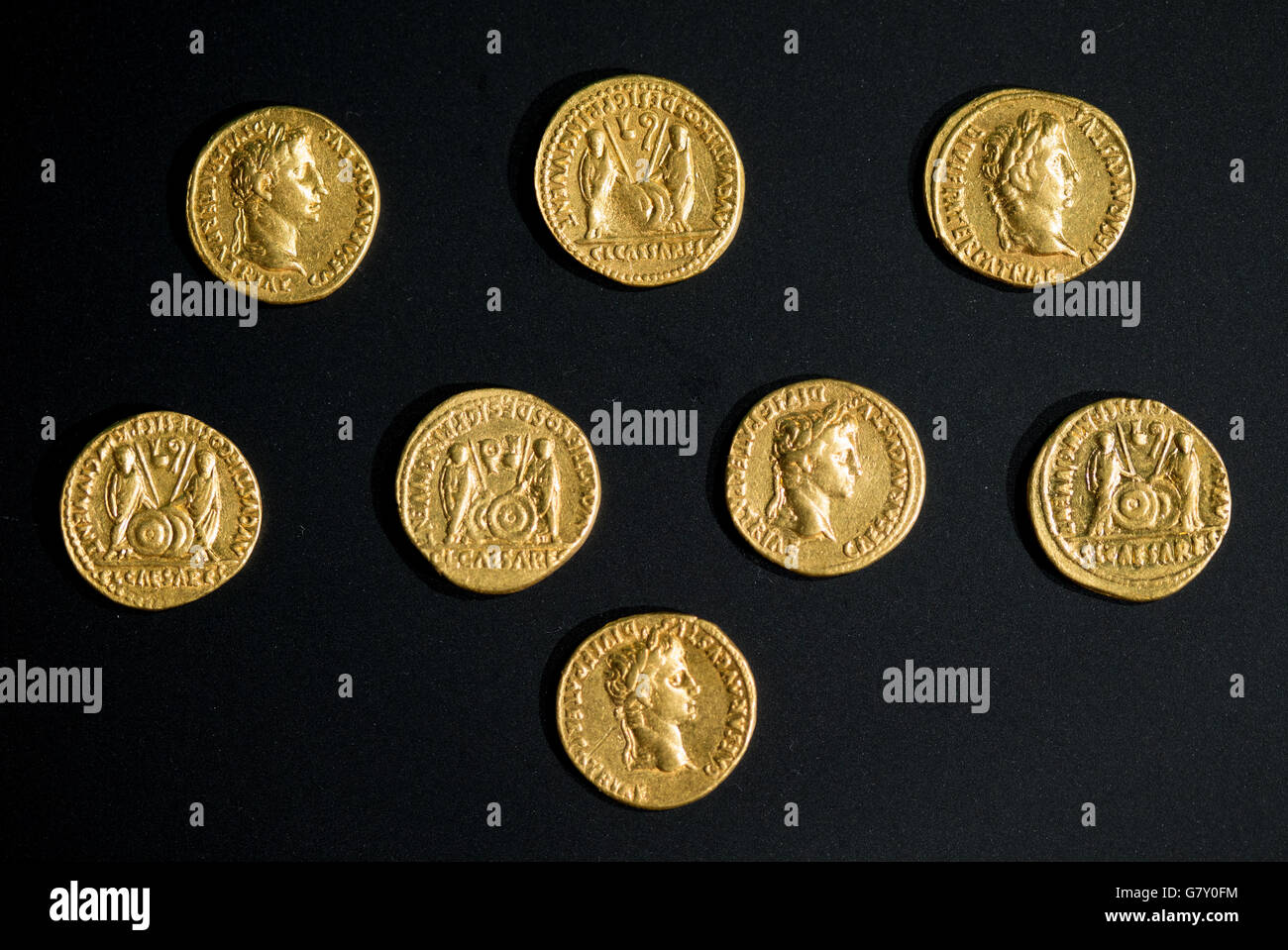 Bramsche Kalkriese Germany 27th June 16 Gaius Lucuis Gold Coins On Show At The Kalkriese Museum Park In Bramsche Kalkriese Germany 27 June 16 Achrhaeologists Discovered 8 Roman Gold Coins From The Time Of Caesar