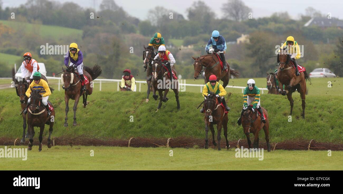 The field jumps Rubys Double during The Boomerang Animal Bedding Cross Country Steeplechase