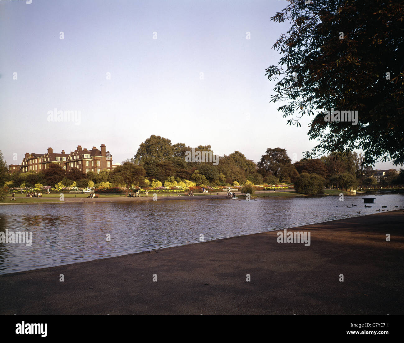 London Scenes - Regent's Park. Picture shows Regent's College from across the boating lake at Regent's Park. Stock Photo