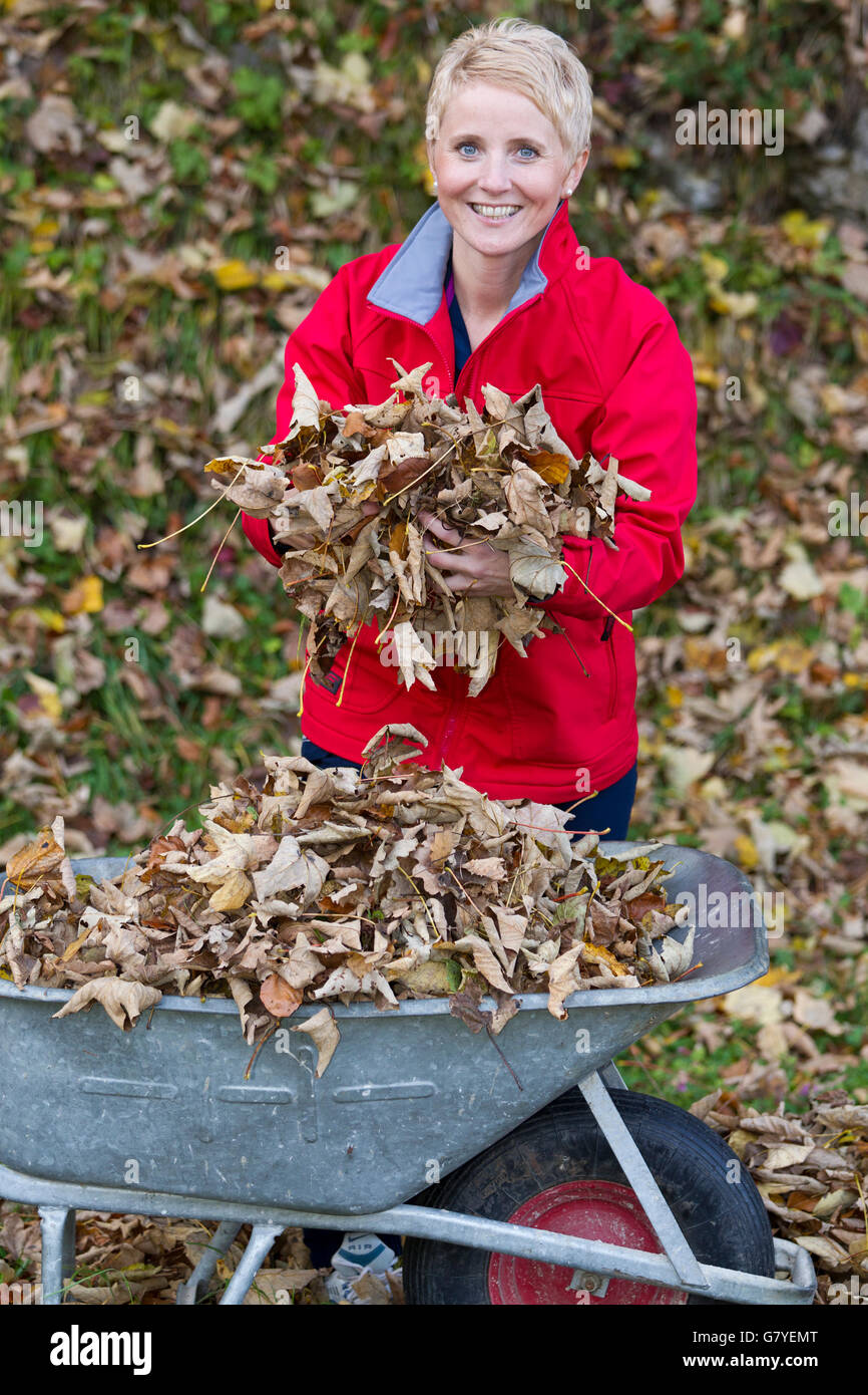 Gardening, woman putting leaves in a wheelbarrow Stock Photo - Alamy