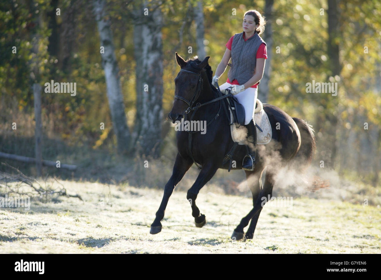 Girl, 17 years, riding her horse in autumn Stock Photo