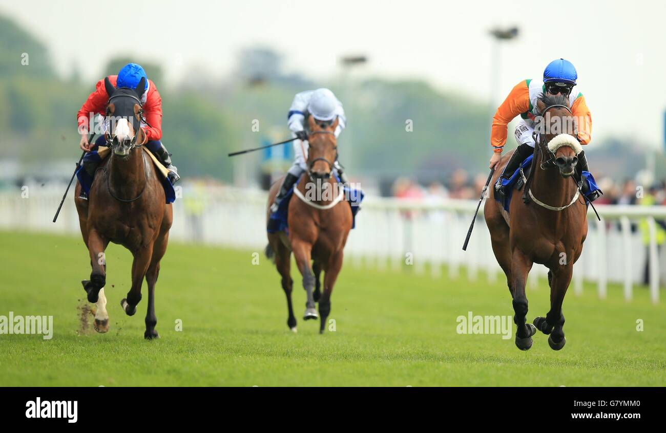 Horse Racing - 2015 Dante Festival - Betfred Yorkshire Cup - York Racecourse Stock Photo