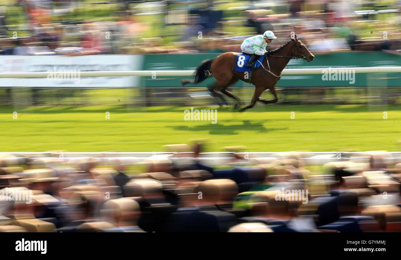 Horse Racing - 2015 Dante Festival - Betfred Yorkshire Cup - York Racecourse. Yorkidding ridden by Silvestre De Sousa wins The Constant Security Stakes during day three of the Dante Festival at York Racecourse, York. Stock Photo
