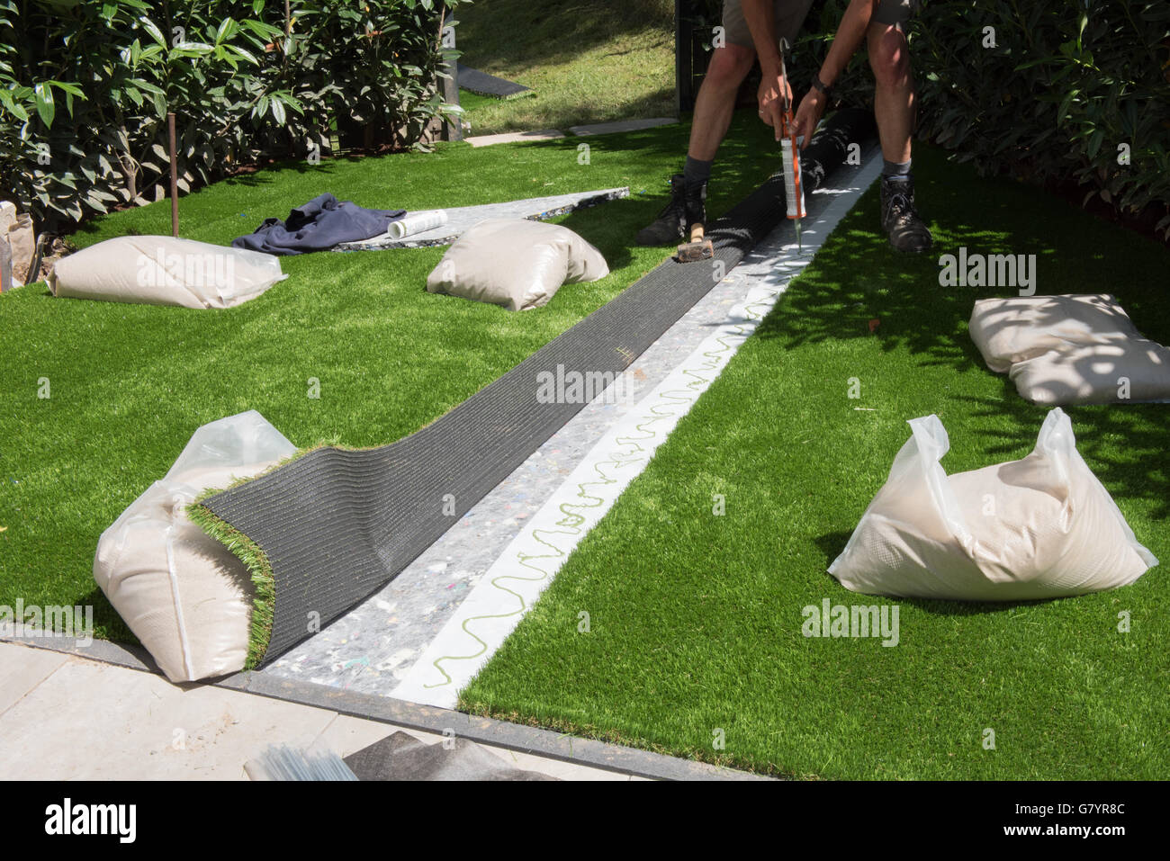 professional gardener is glueing artificial turf to fit Stock Photo
