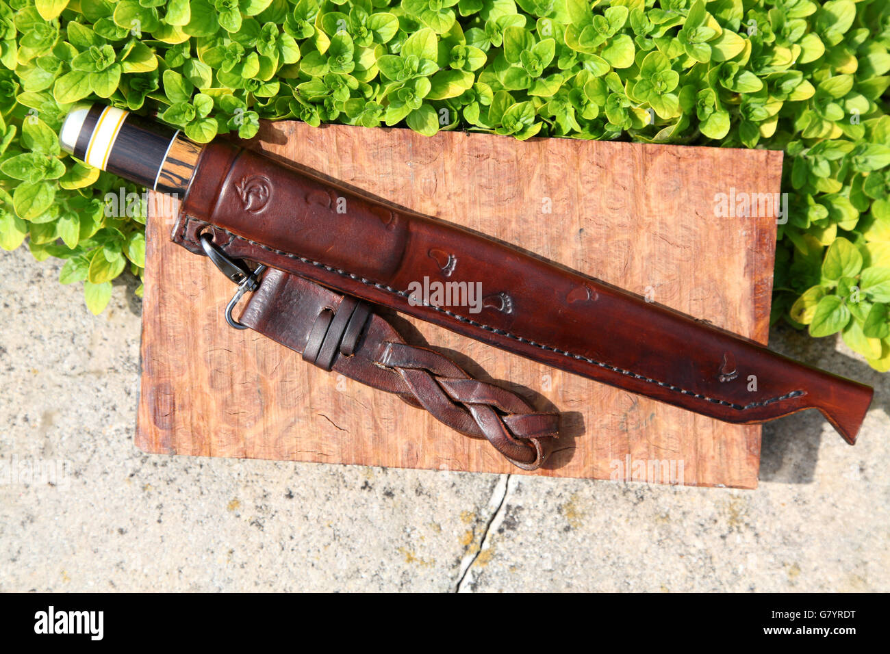 A decorative filleting knife enclosed in a brown leather scabbard laying on a wall with a belt 'dangler' attached Stock Photo