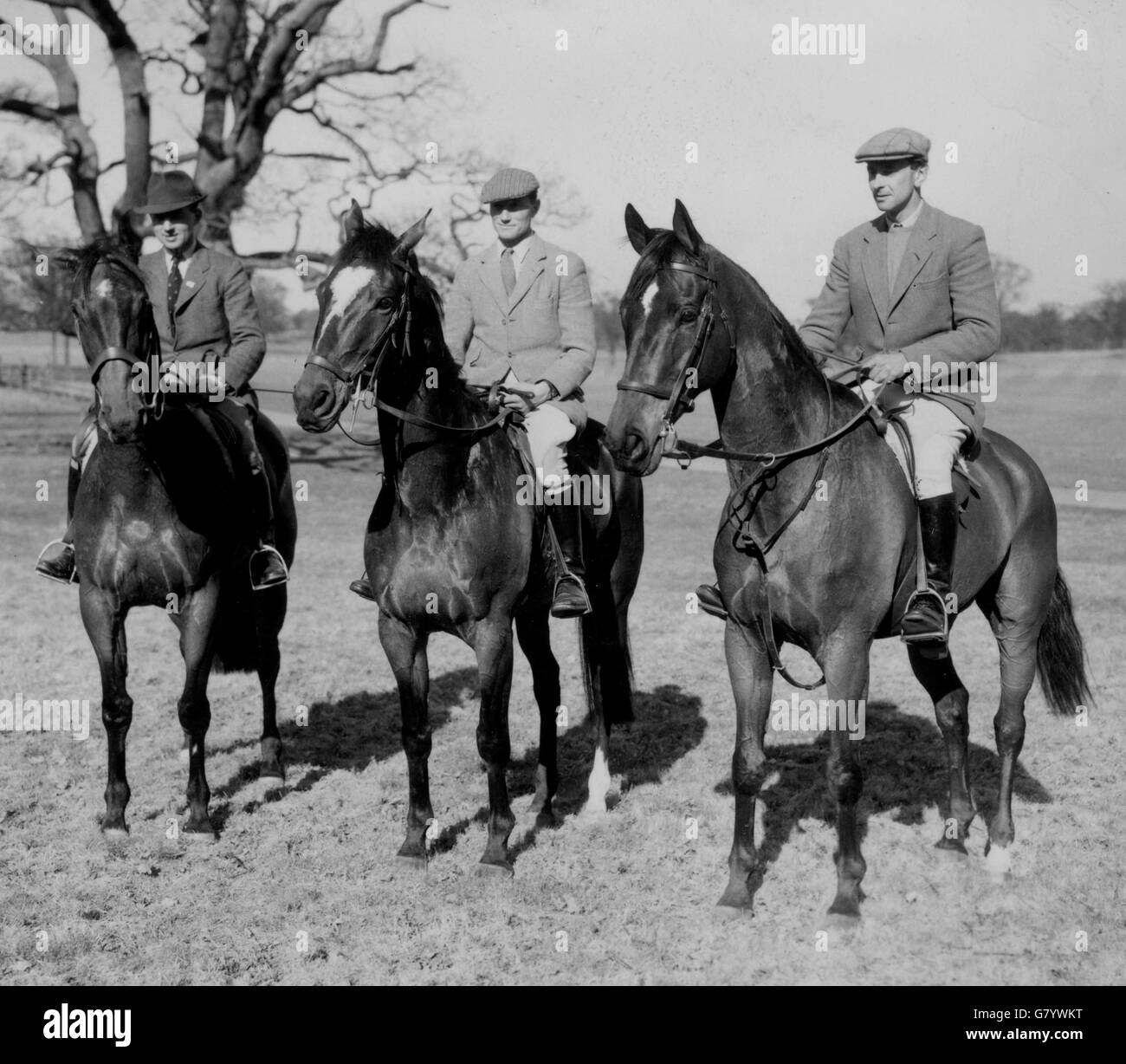 Training in Windsor Great Park were the British riders from whom the Olympic Games equestrian team will be chosen. Three of the riders are (l-r) Lieutenant-Colonel Frank Weldon, riding his own horse Kilbarry, Bertie Hill, riding the Queen's horse Countryman III, and Major L. Rook, riding J.S. Baker's Starlight V. The equestrian events for the Olympics are to be held at Stockholm in June. Stock Photo