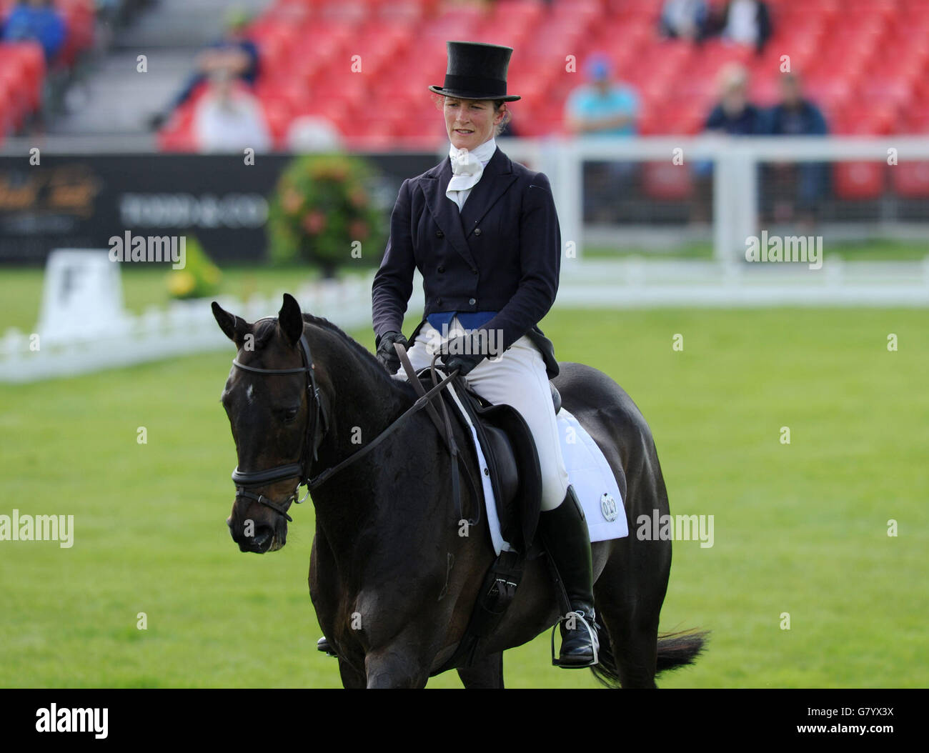 Beanie Sturgis rides Lebowski during day two of the Badminton Horse Trials, Badminton. Stock Photo