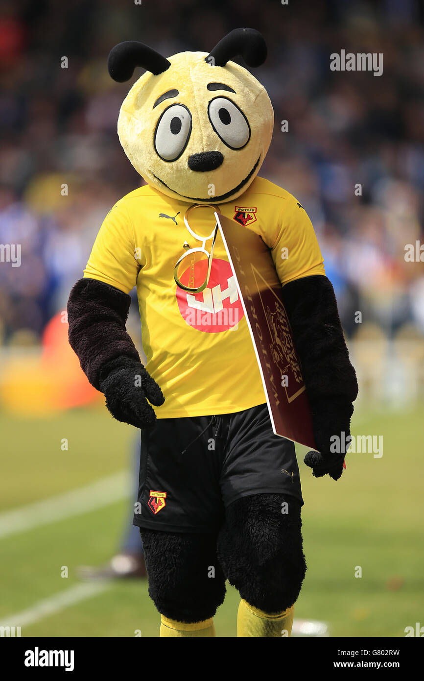 Soccer - Sky Bet Championship - Watford v Sheffield Wednesday - Vicarage Road. Watford official mascot Harry the Hornet Stock Photo