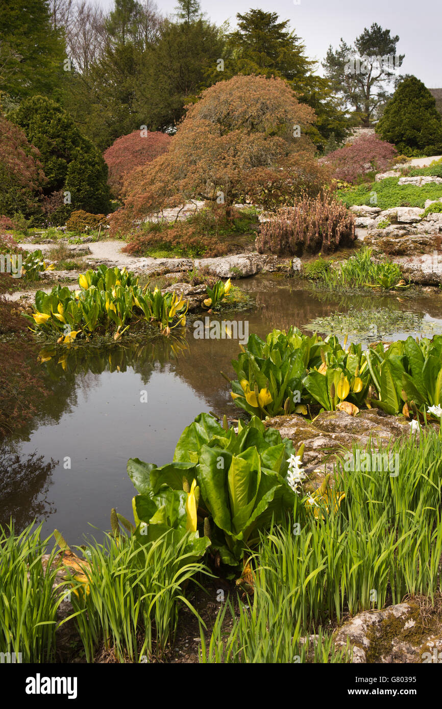 UK, Cumbria, Kendal, Sizergh, ancestral home to the Strickland family, rock garden in springtime Stock Photo