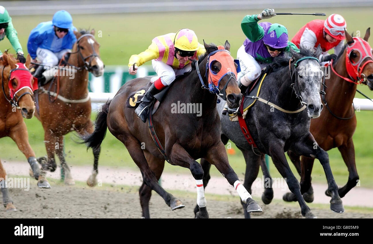 Horse Racing - Lingfield Racecourse Stock Photo
