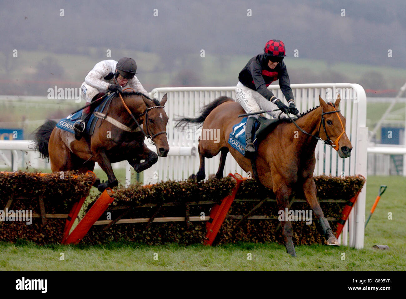 Horse Racing - Cheltenham Festival 2005 - Cheltenham Racecourse. Tumbling Dice ridden by Barry Geraghty (r) and Dancing Bay ridden by Mick Fitzgerald in The Coral Cup Stock Photo
