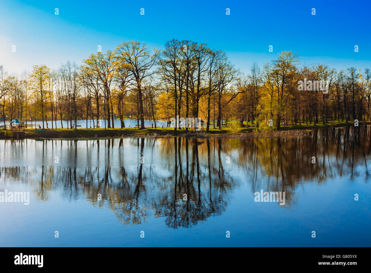 Trees Standing In Water During A Spring Flood. Beautiful spring landscape with reflection in river. Sunny day. Stock Photo