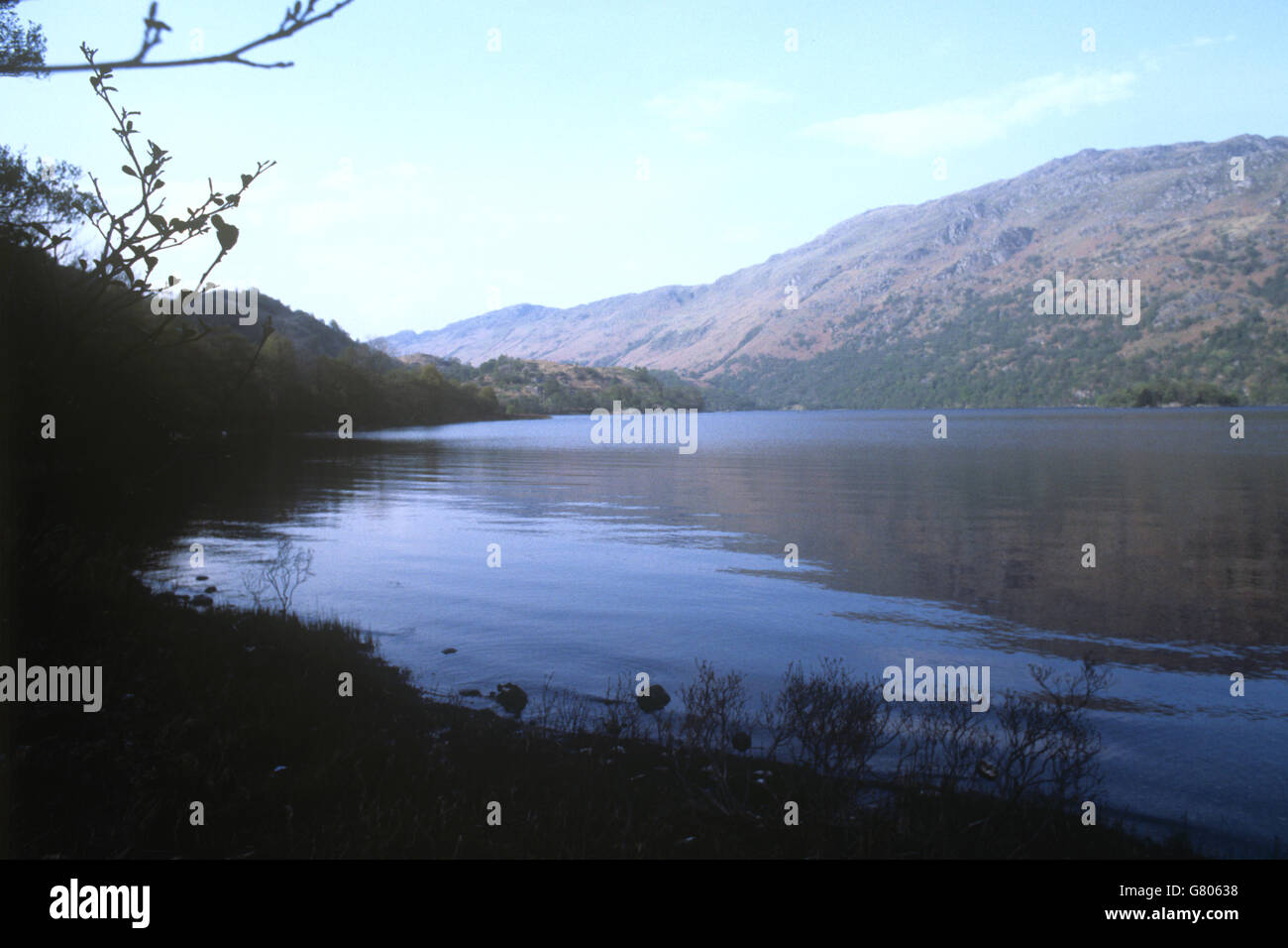 Environment - Loch Lomond - Scotland Stock Photo