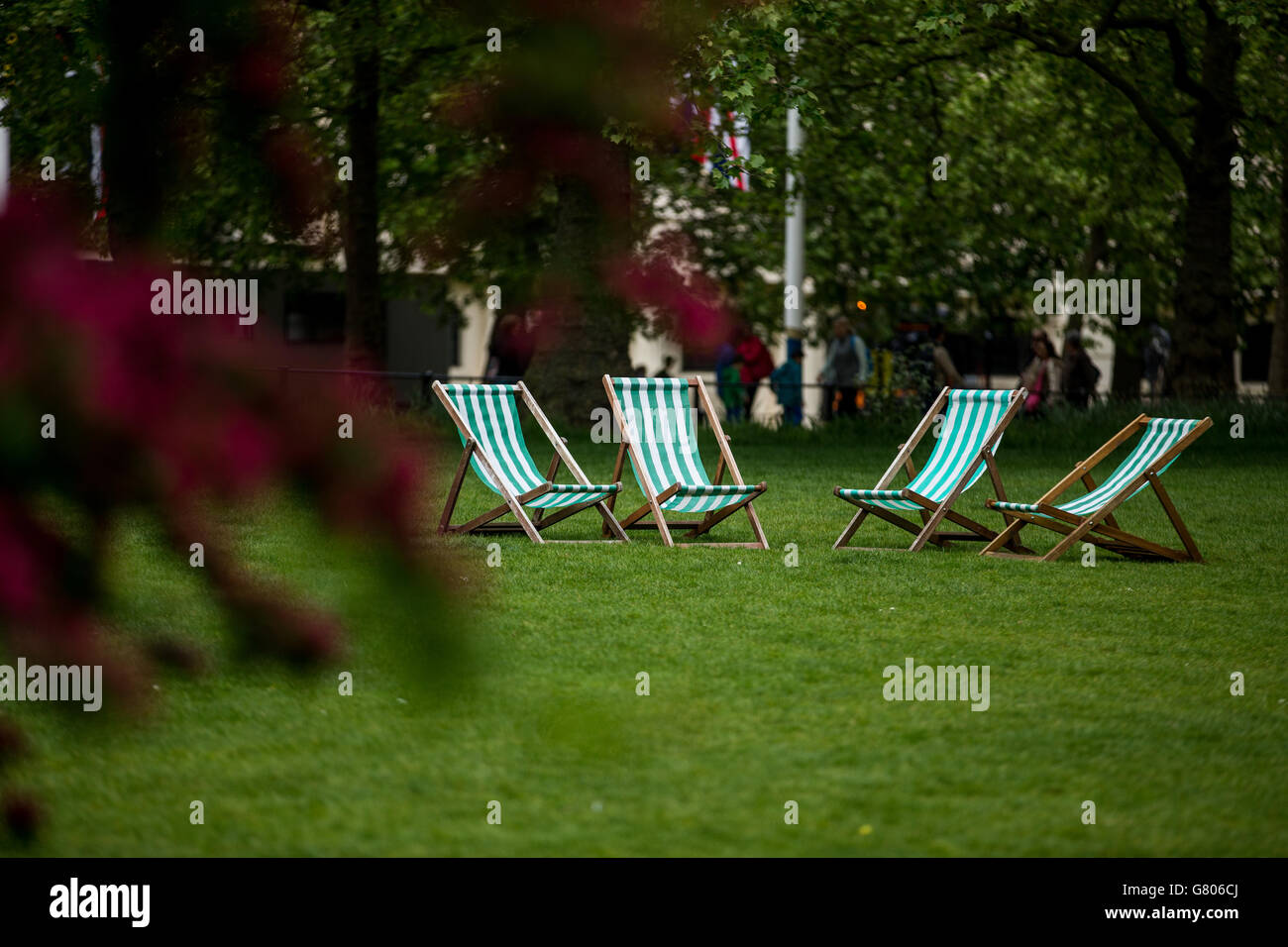 A general view of deckchairs set up in a park in London Stock Photo - Alamy