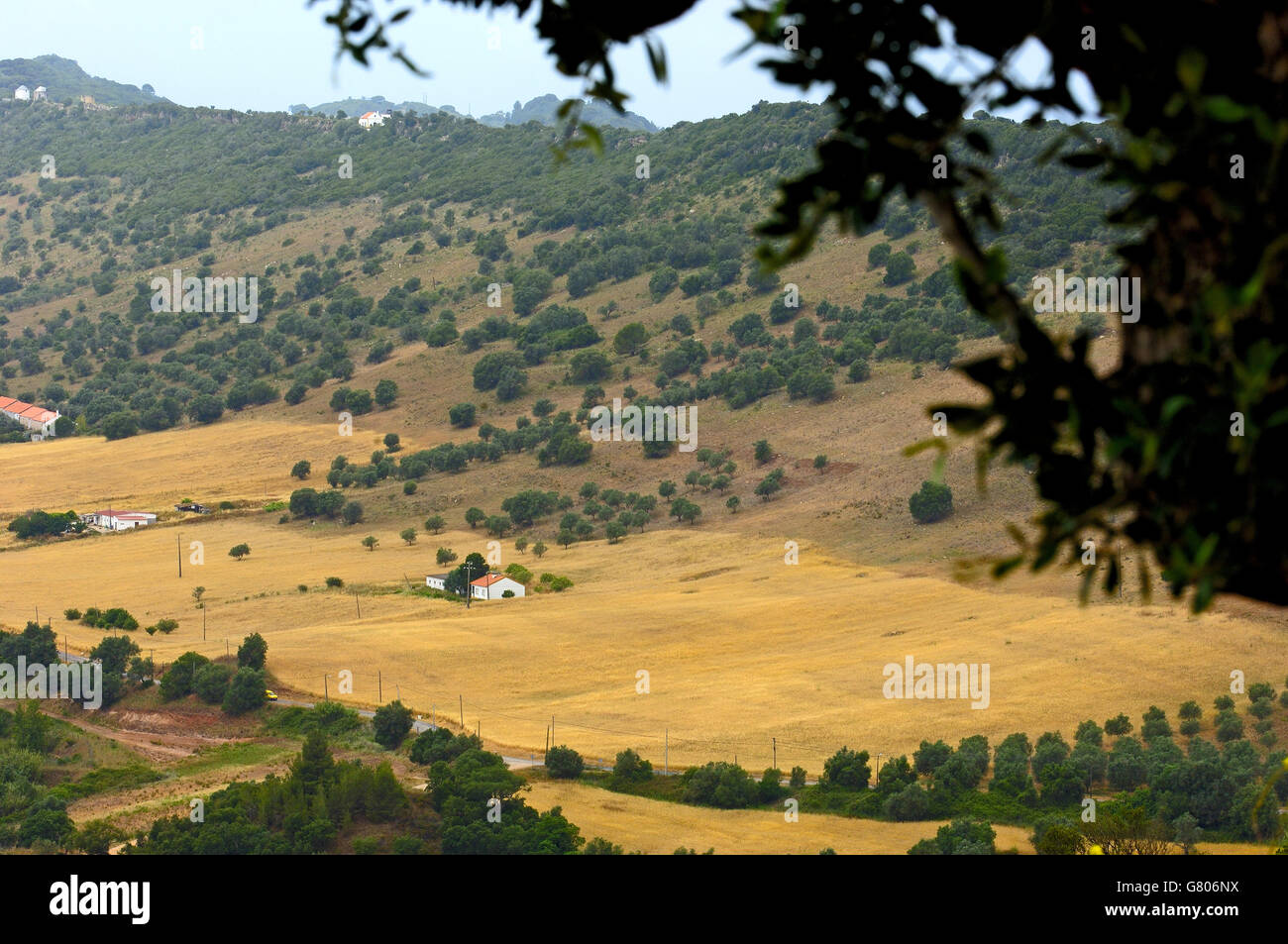 Palmela, Serra de Arrabida. Portugal. Europe Stock Photo