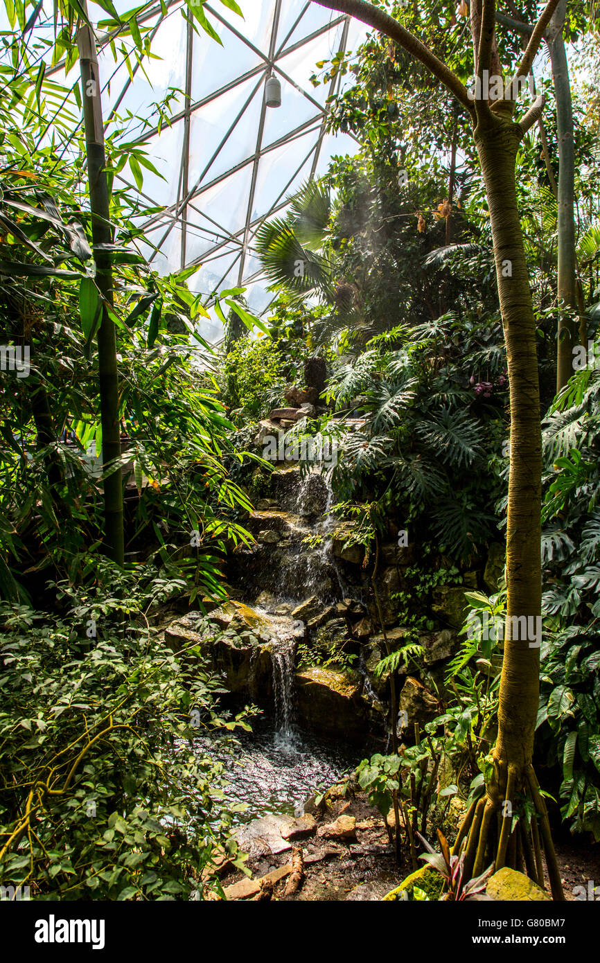 Botanischer garten grugapark hires stock photography and images Alamy