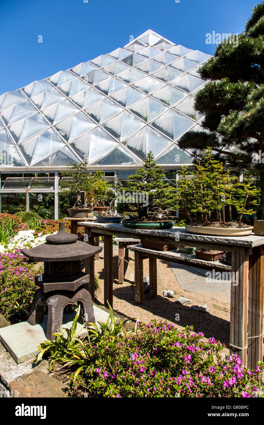Botanischer garten grugapark hires stock photography and images Alamy