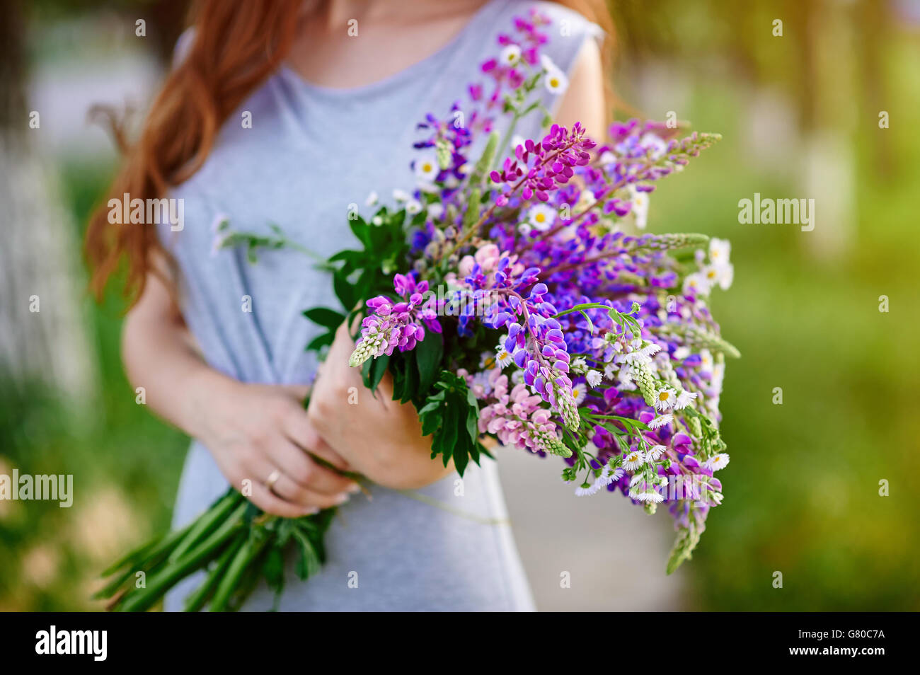 Lupine Bouquet High Resolution Stock Photography And Images Alamy