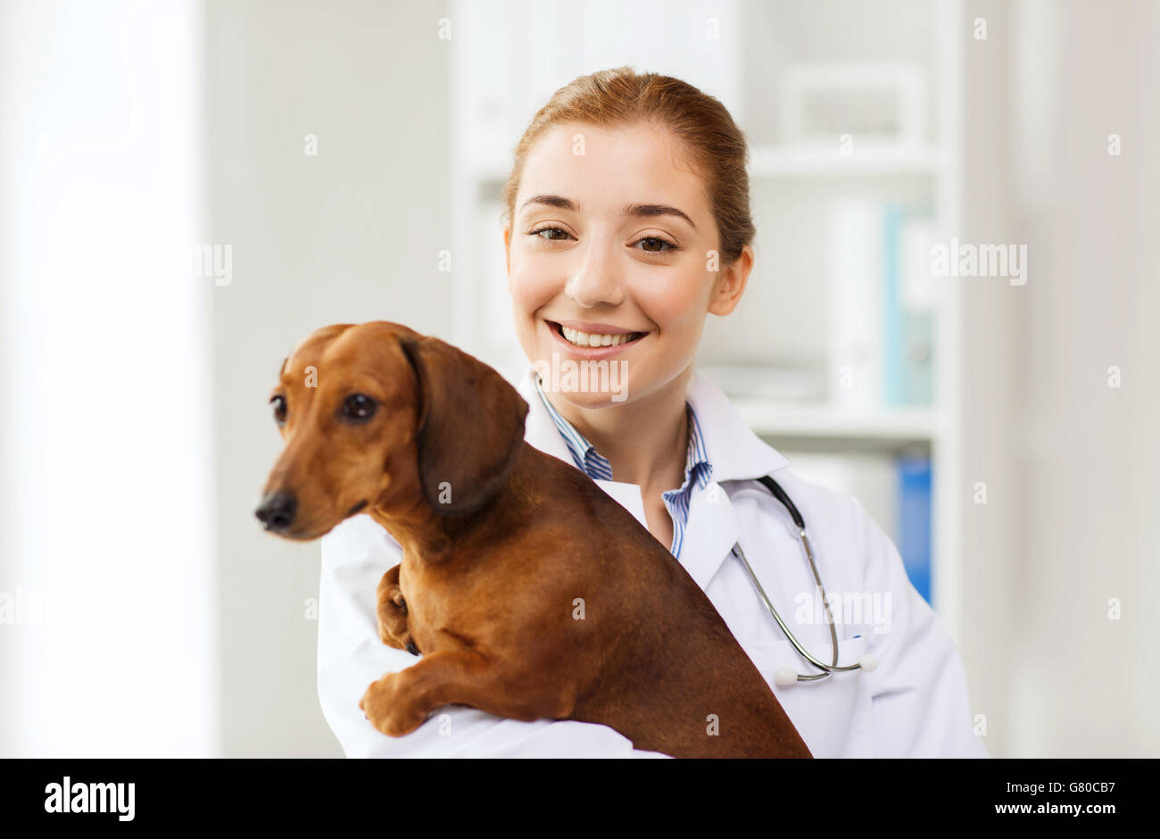 happy doctor with dog at vet clinic Stock Photo Alamy
