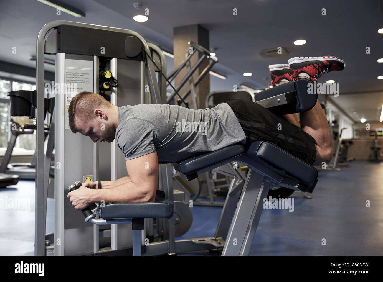 Leg Extension Vs Leg Curl Differences, Pros, Cons atelieryuwa.ciao.jp