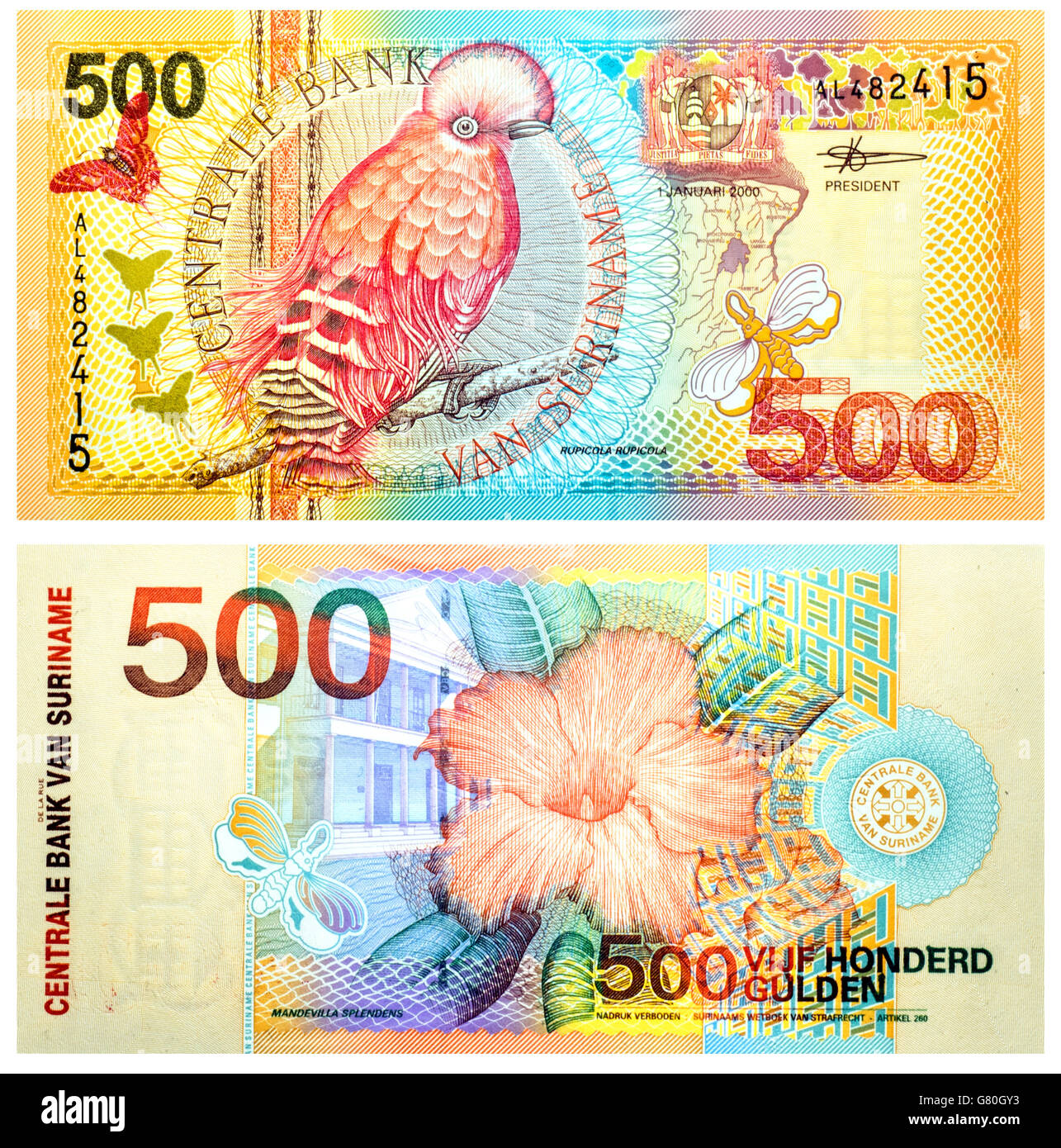 Banknote 500 Gulden Suriname front and back isolated on white emitted on 2000. 1.1.2000. Orange and green on multicolor Stock Photo