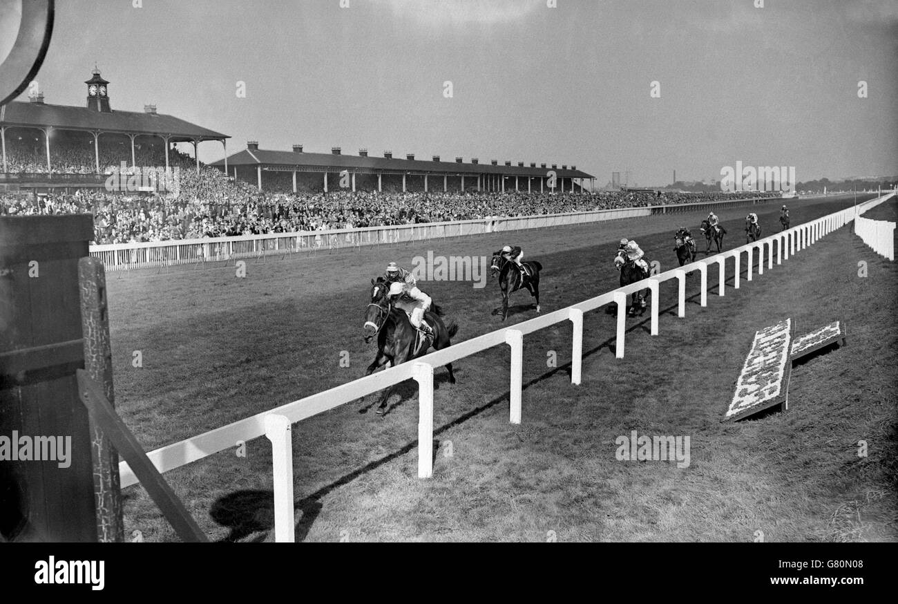 The finish of the St. Leger Stakes. 1st was Lady Zia Wanher's 'Meld' (W. H. Carr up), with Miss D. Paget's 'Nucleus' (Lester Piggott up) second and M. G. Wildenstein's 'Bean Prince' (Boullenger) third. Stock Photo