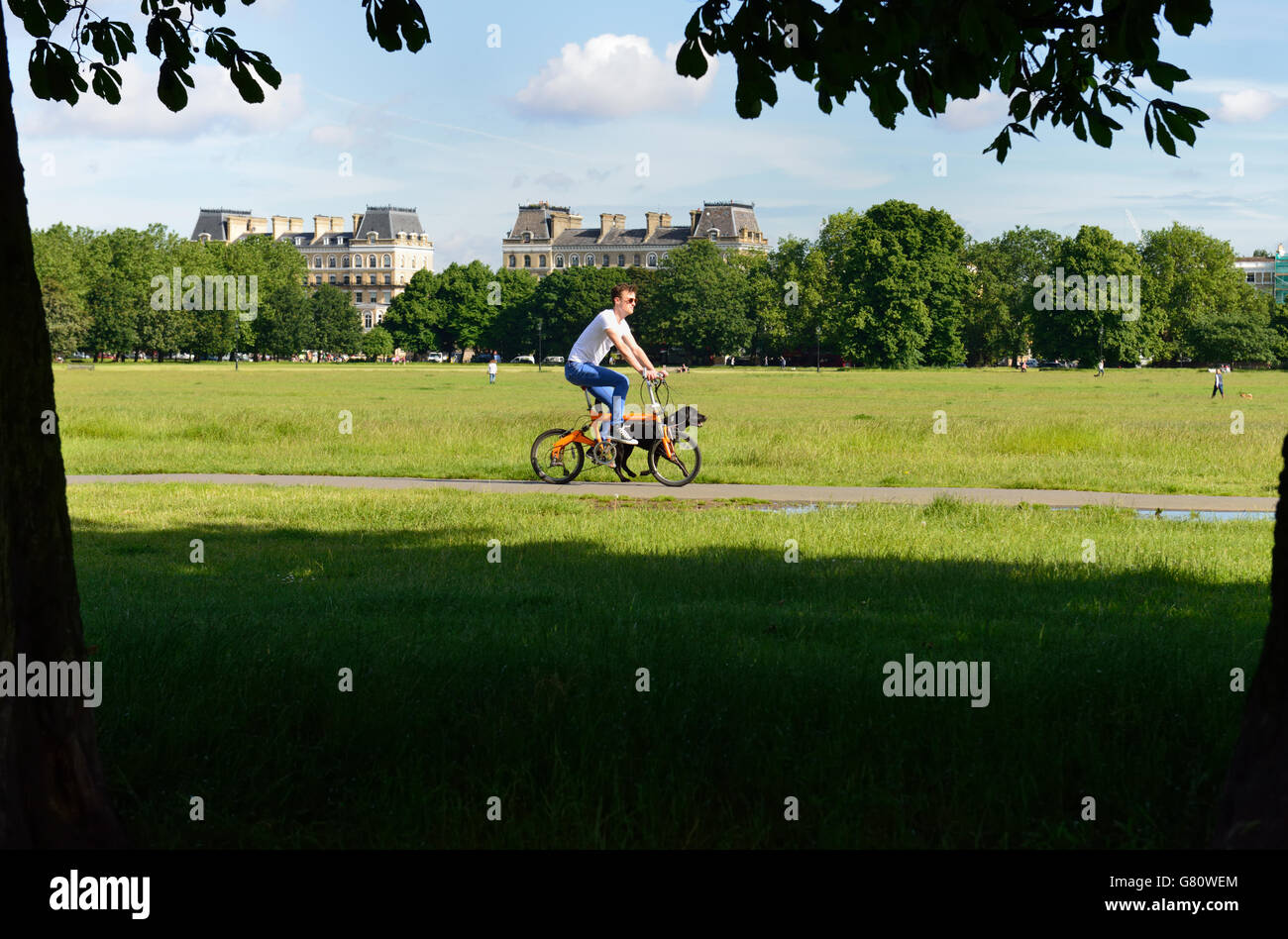 Young man on bicycle with dog, Clapham Common, London SW4, United Kingdom Stock Photo