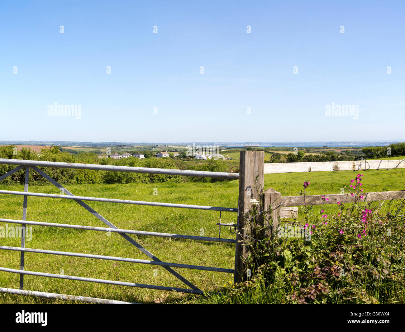 Countryside summer landscape near St Keverne,  Lizard Peninsula, Cornwall, England, UK Stock Photo